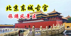 美女操逼ⅩV中国北京-东城古宫旅游风景区